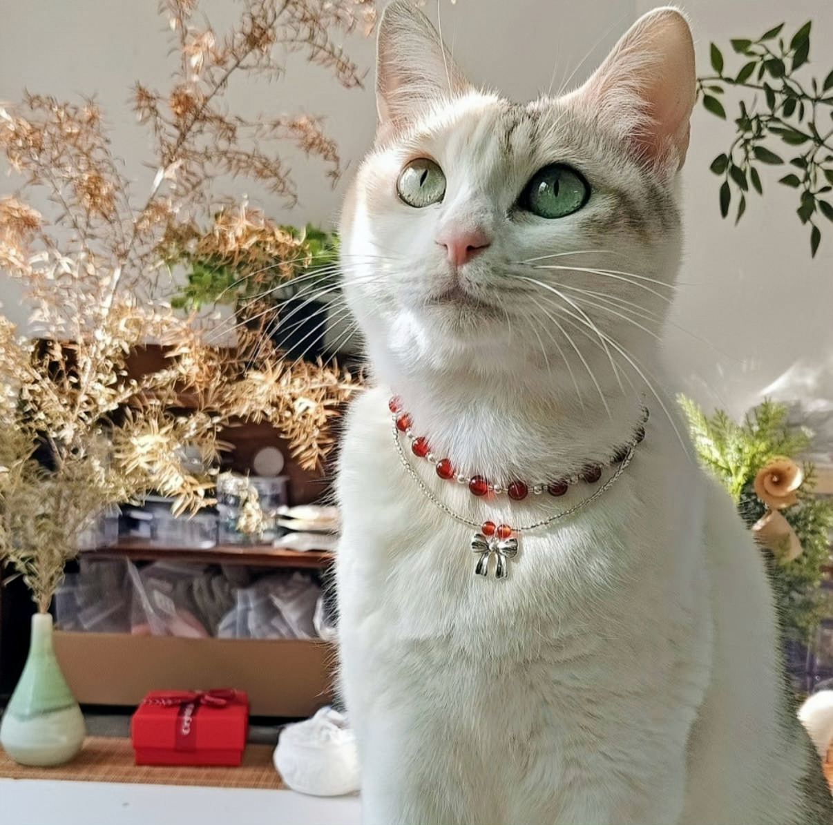Natural Stone Series - Red Bean Necklace
