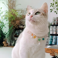 Natural Stone Series - Rainbow Necklace