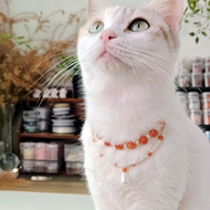 Natural Stone Series - Pomegranate Necklace