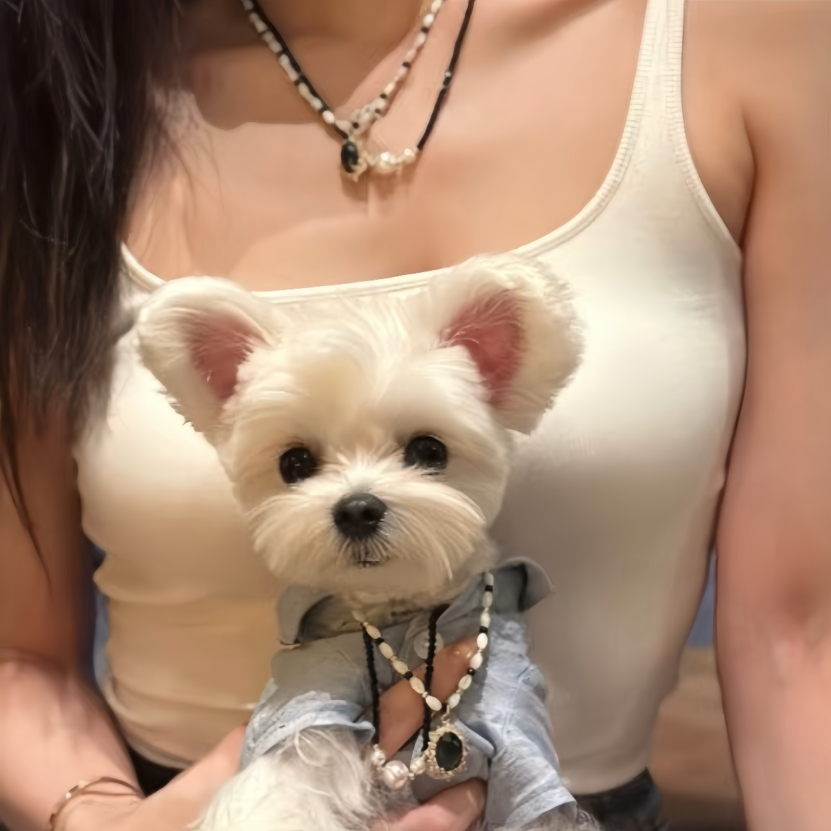Matching Set Series - Panda Crystal Pendant Necklace